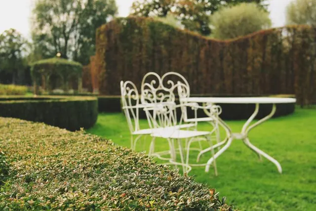 A clipped hedge row and mown lawn beside a garden patio set.