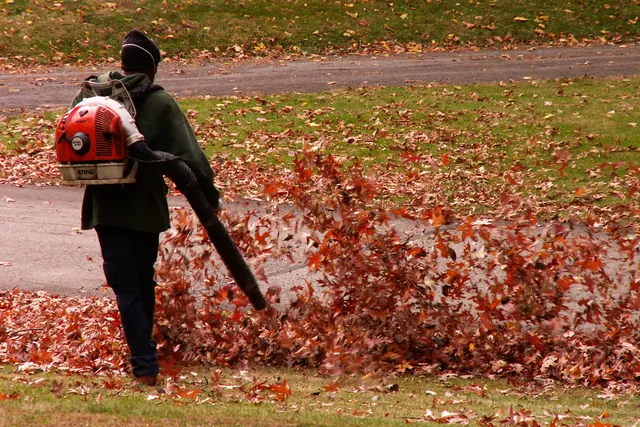 A landscaper clearing a thick blanket of autumn leaves from a lawn with a backpack blower.