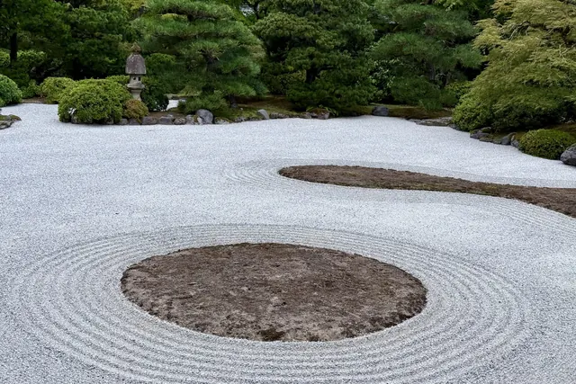 A raked gravel garden with clipped moss mounds, kept in perfect order.